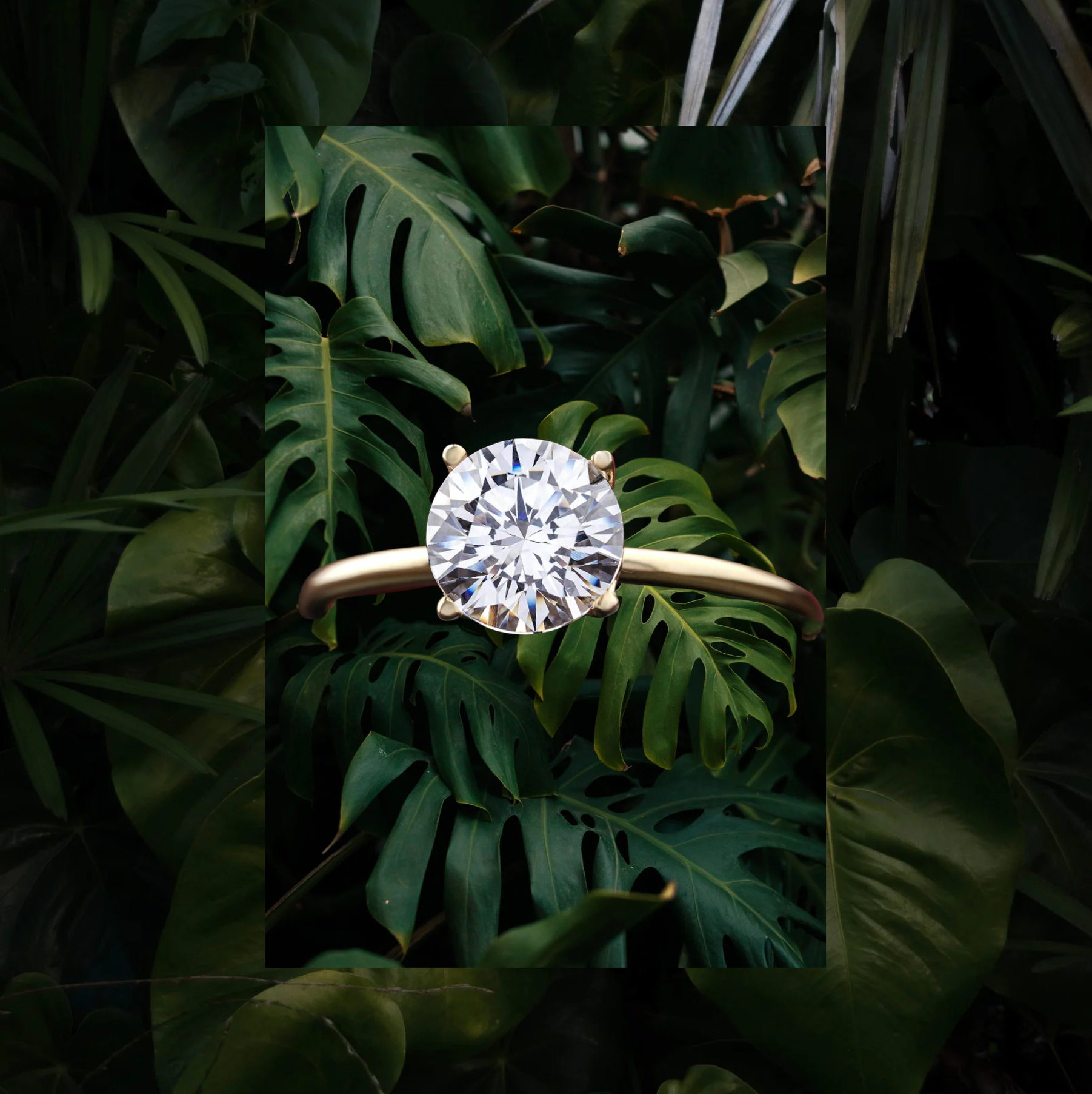 Eleganter Diamantring aus Gold vor grünen Blättern als Symbol für nachhaltige Materialien und umweltbewusste Herstellung von Trauringen